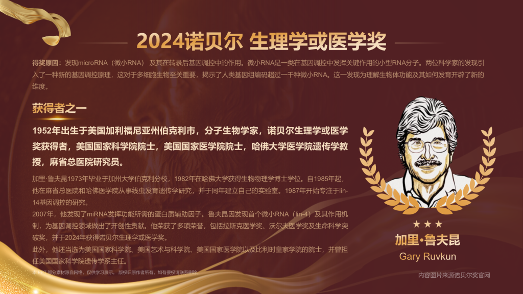 2024诺贝尔生理学或医学奖