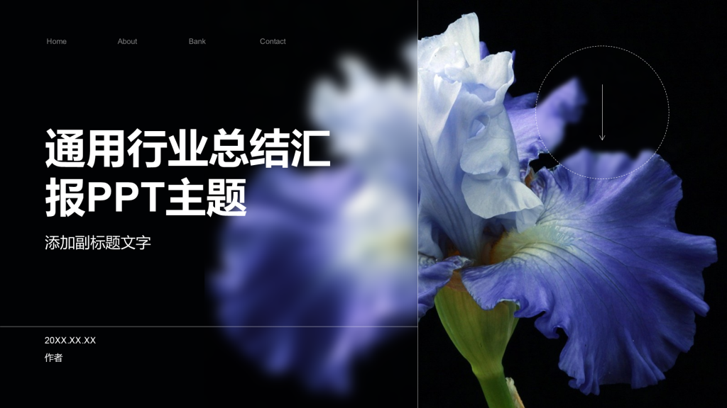 通用行业总结汇报PPT主题