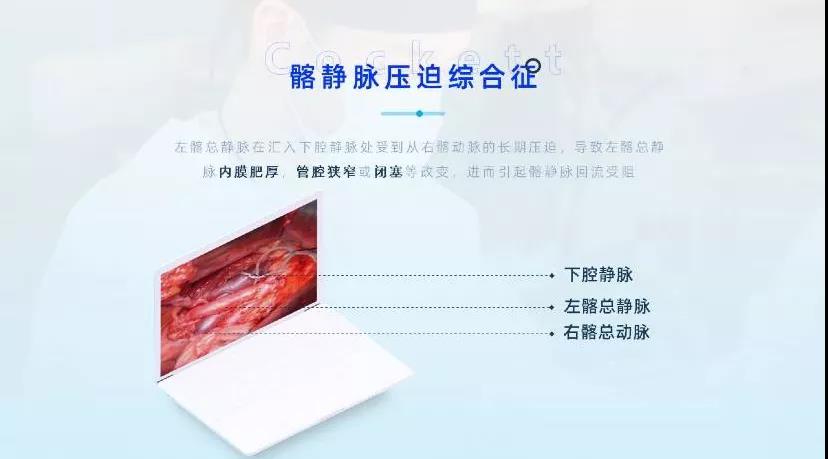 医学PPT制作这样设计既严谨有精美